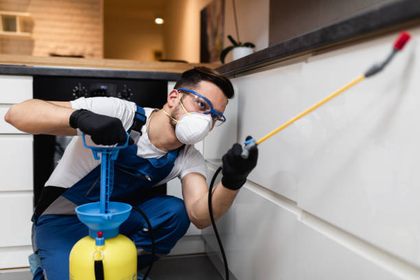 Best Affordable Pest Control Services  in Rolla, ND