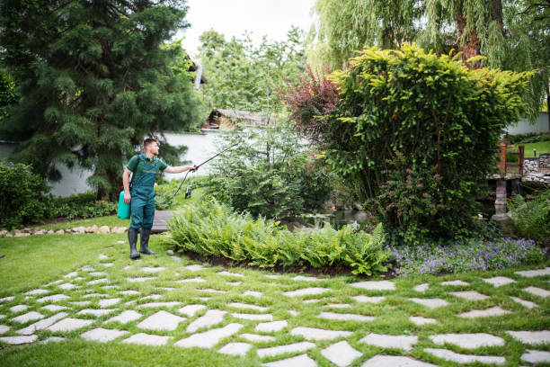 Best Pest Prevention Services  in Rolla, ND